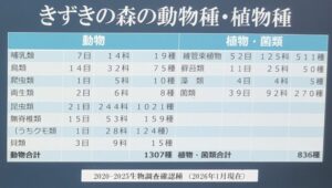 北雲雀きずきの森の動物種・植物種（2020年から2025年兵庫県自然保護協会調査確認種）