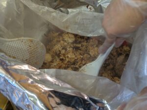 2026年10月18日ひばり祭り2026　防災食試食