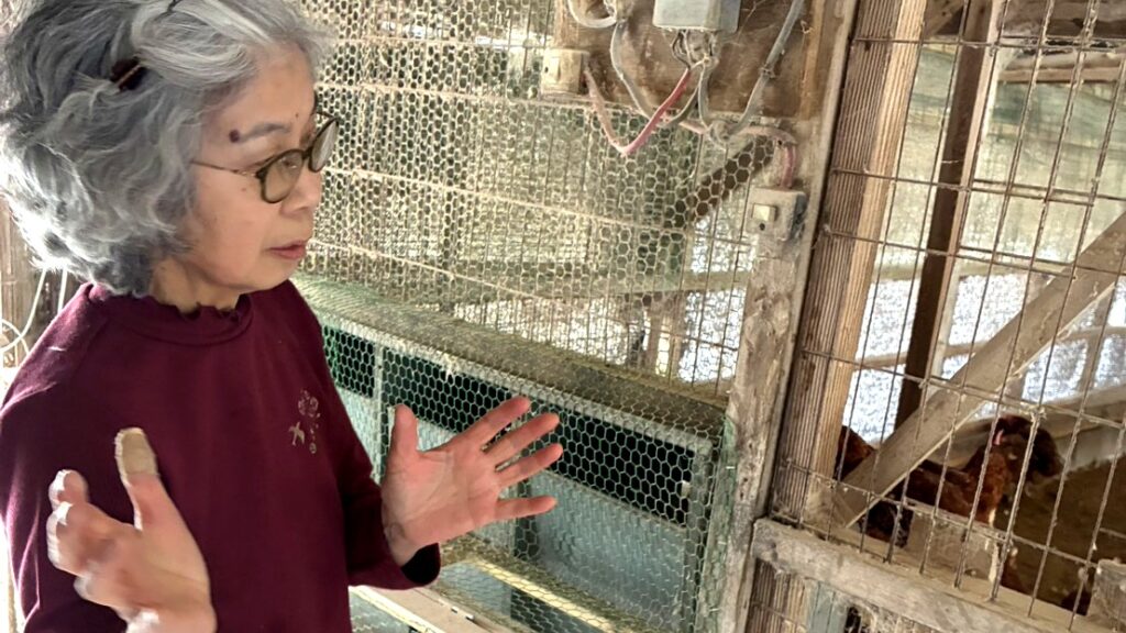 鶏舎内で鶏への思いを語る舩岡京子さん