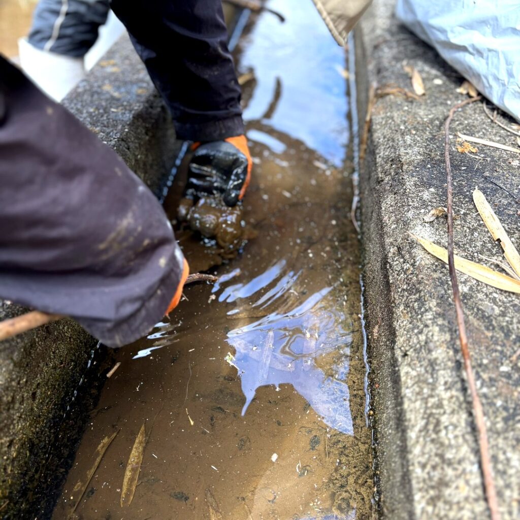 長靴で川の水の中に入り蛍の生息地を整備する足元