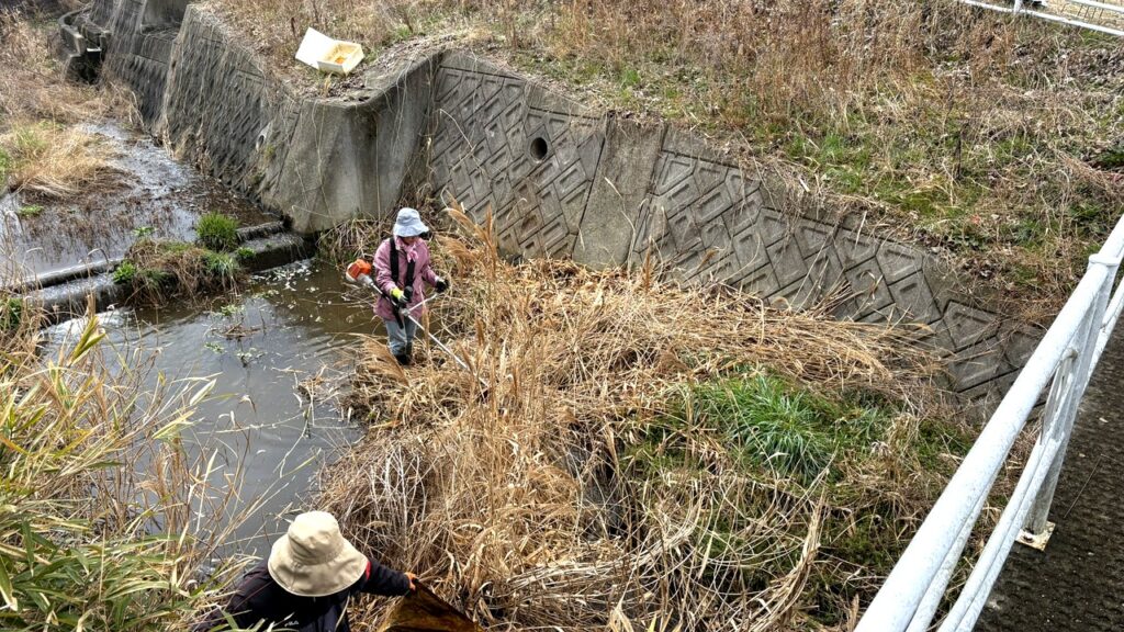 橋の上から撮影した川沿いの草刈り作業の様子