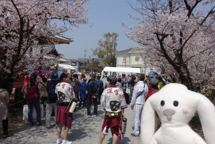 境内には桜がたくさん咲いていて、人もたくさん集まっています。賑わってきました。