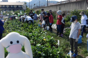 参加者の人たちが芋堀の準備で農園の周りを囲んでいる